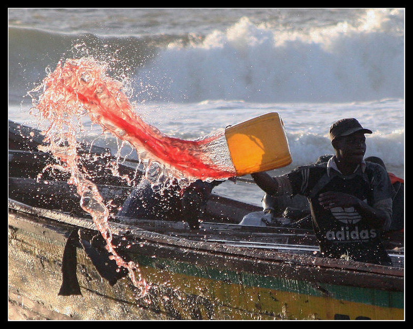 The Blood of Fish by
