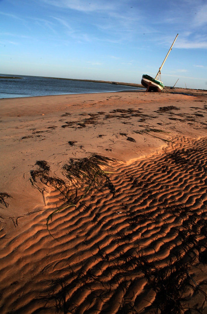 On the beach by