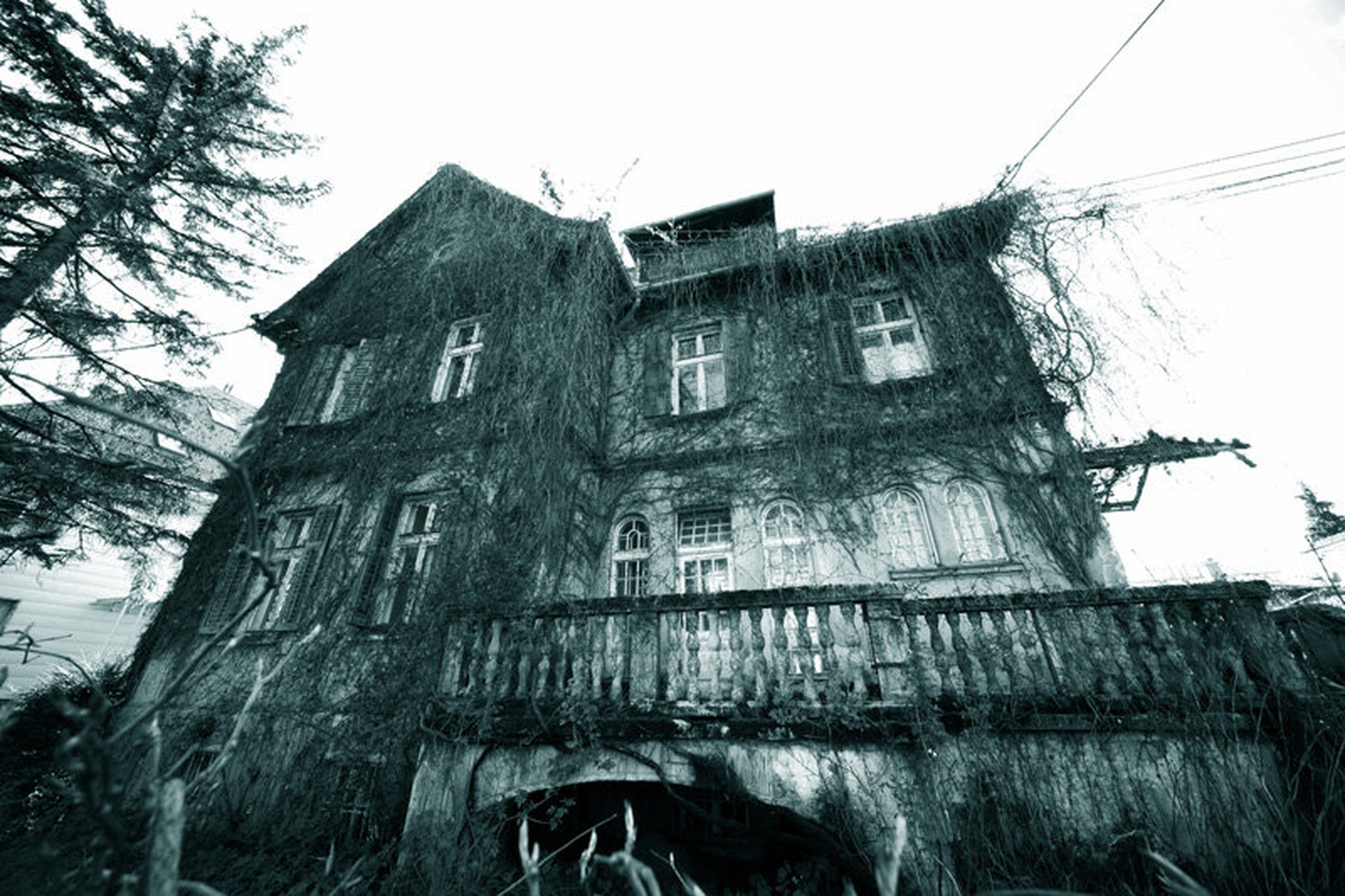 Začarana by