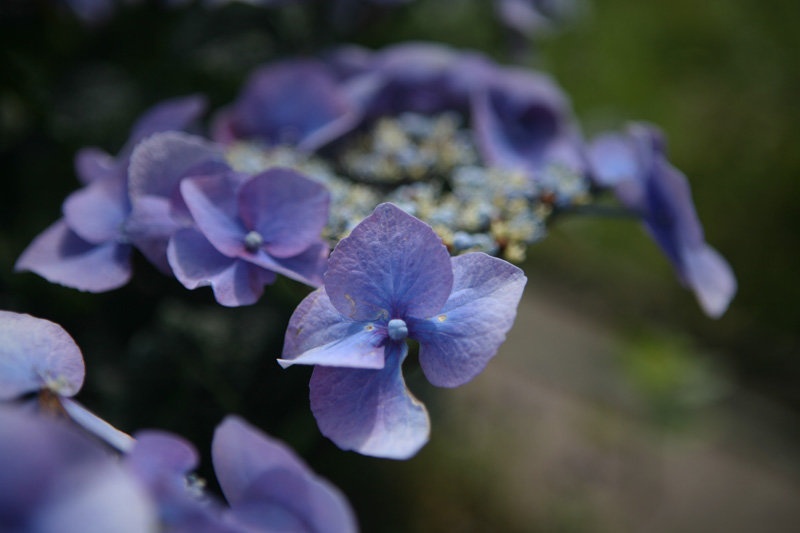 Blue by Spin