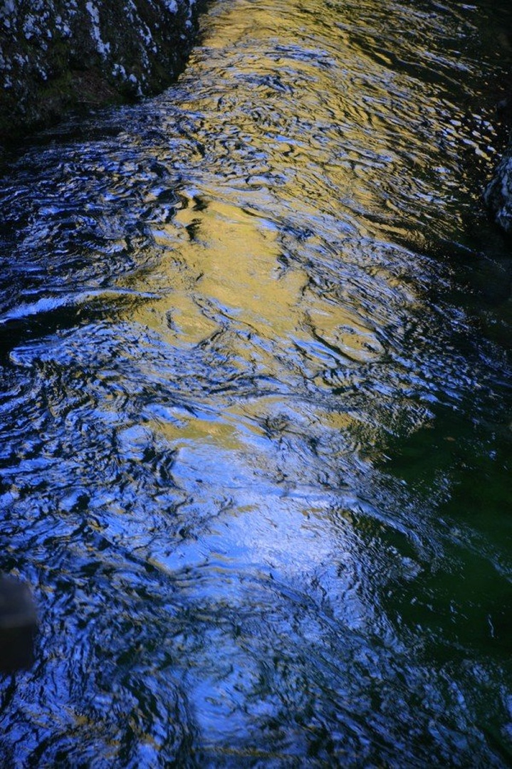 Black gold by