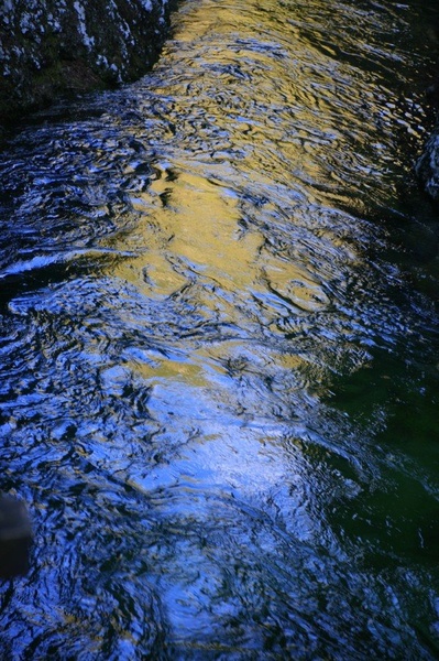 Black gold by Spin