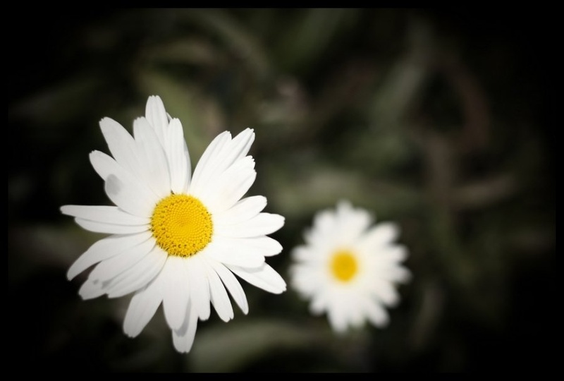 Behind you... by Primož Petohleb