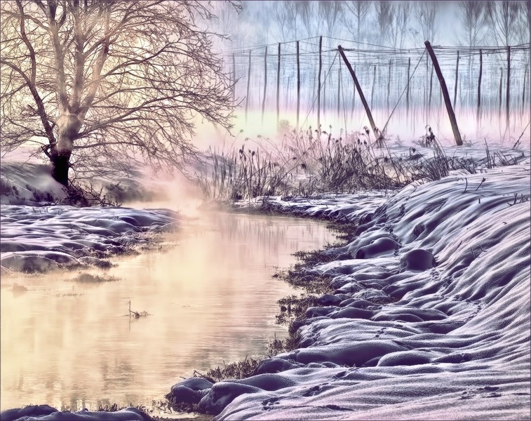 Zimsko sonce by zvonko ferčič