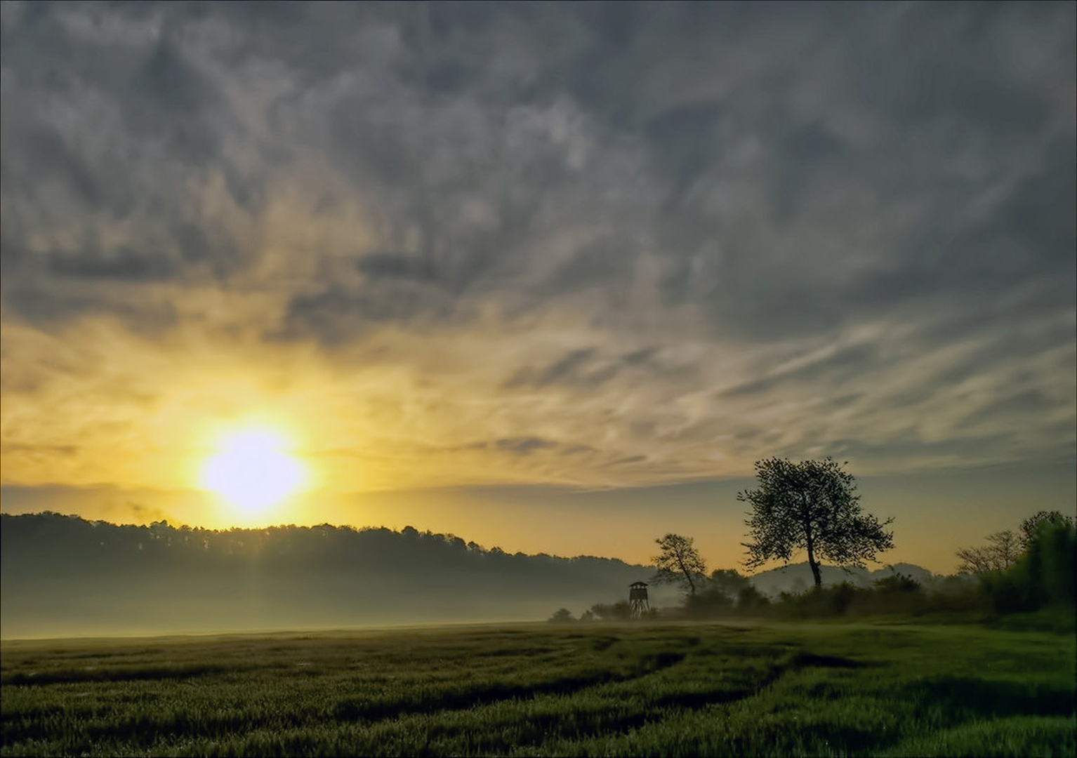 Rano jutro, zlato jutro. by zvonko ferčič