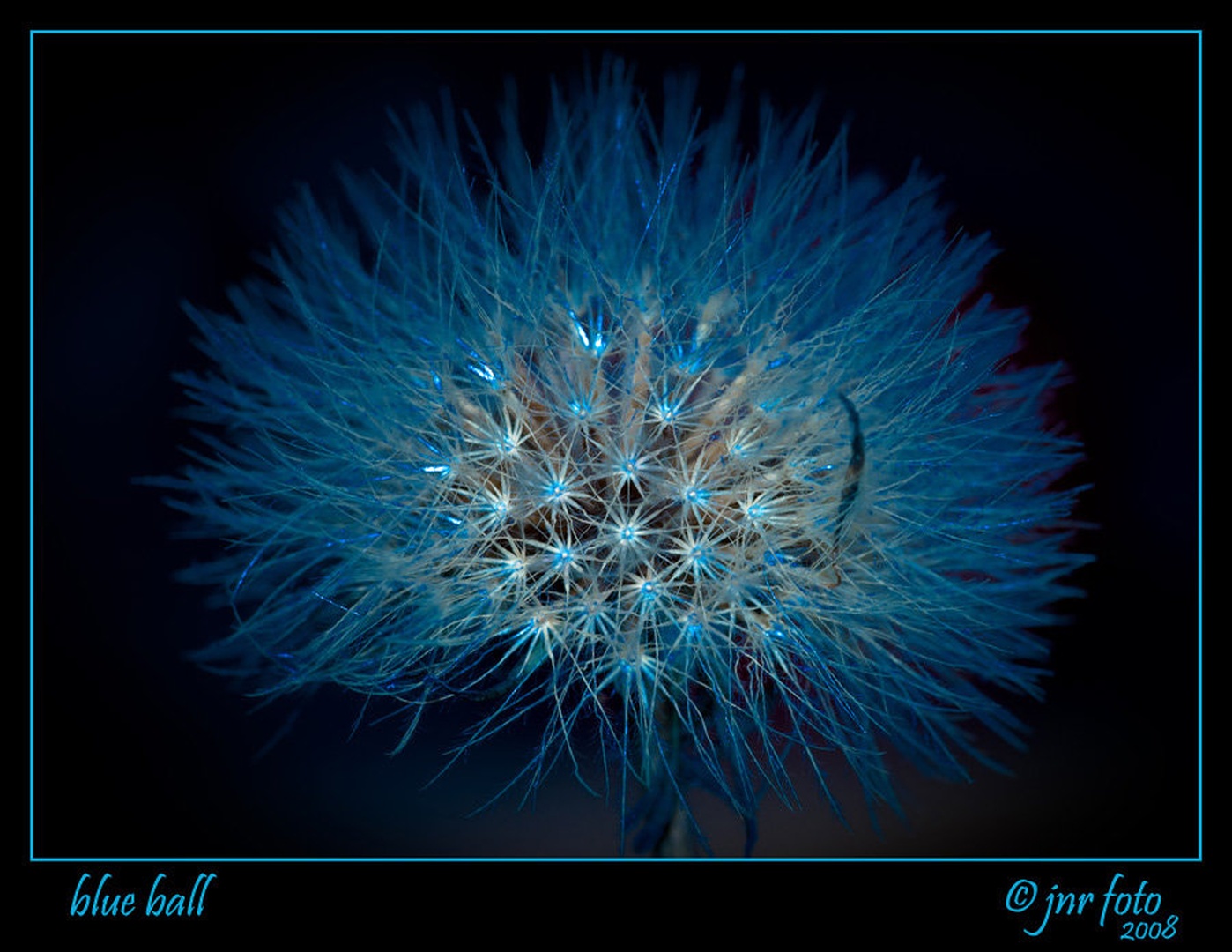 blue ball by Ivan Pavlakovič ml.