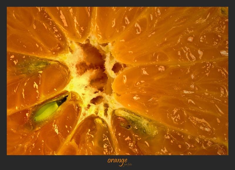 orange by Ivan Pavlakovič ml.