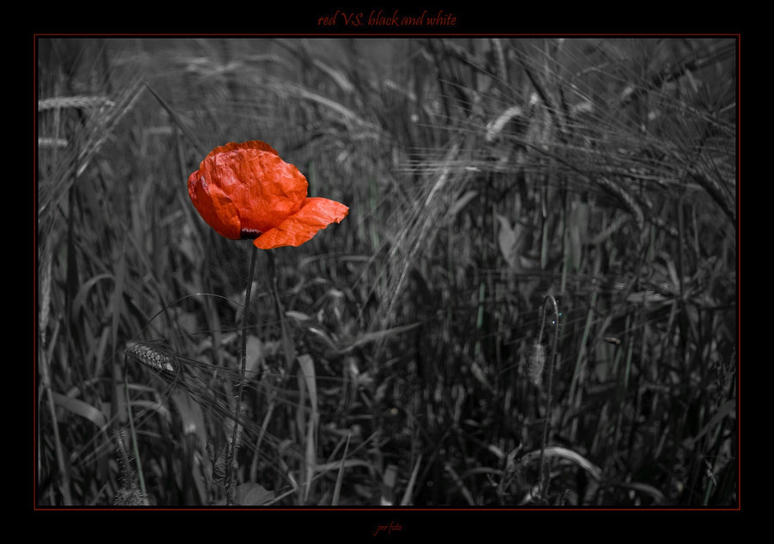 red VS. black and white by Ivan Pavlakovič ml.