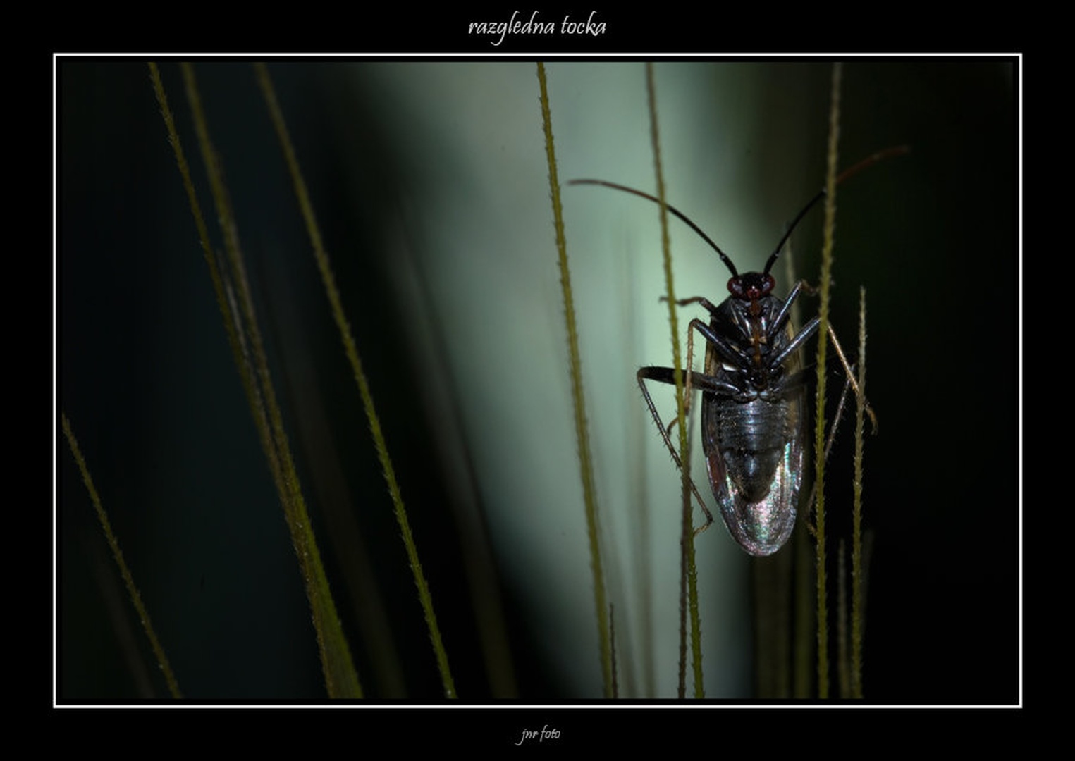 razgledna točka by Ivan Pavlakovič ml.