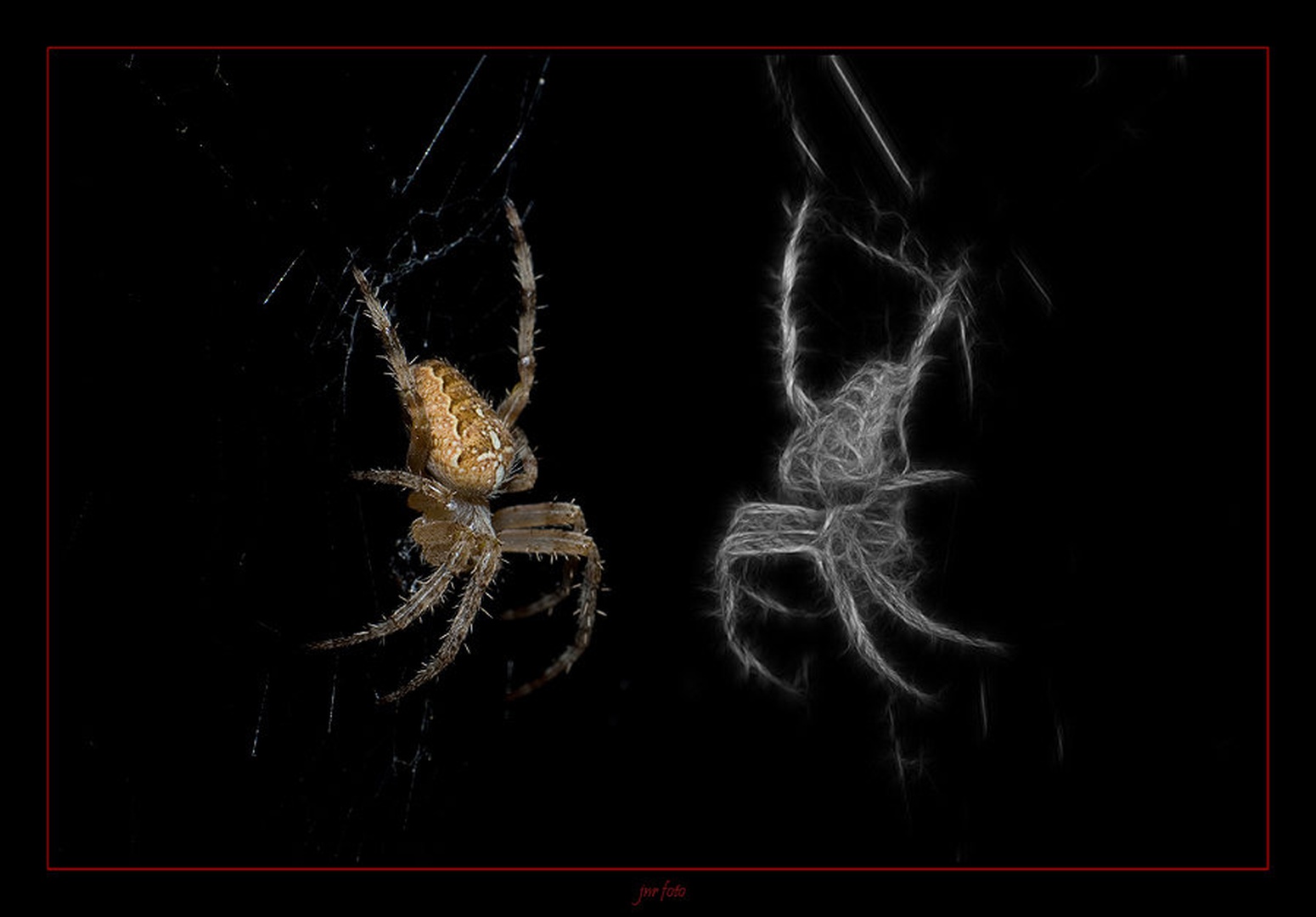 life vs. death by Ivan Pavlakovič ml.
