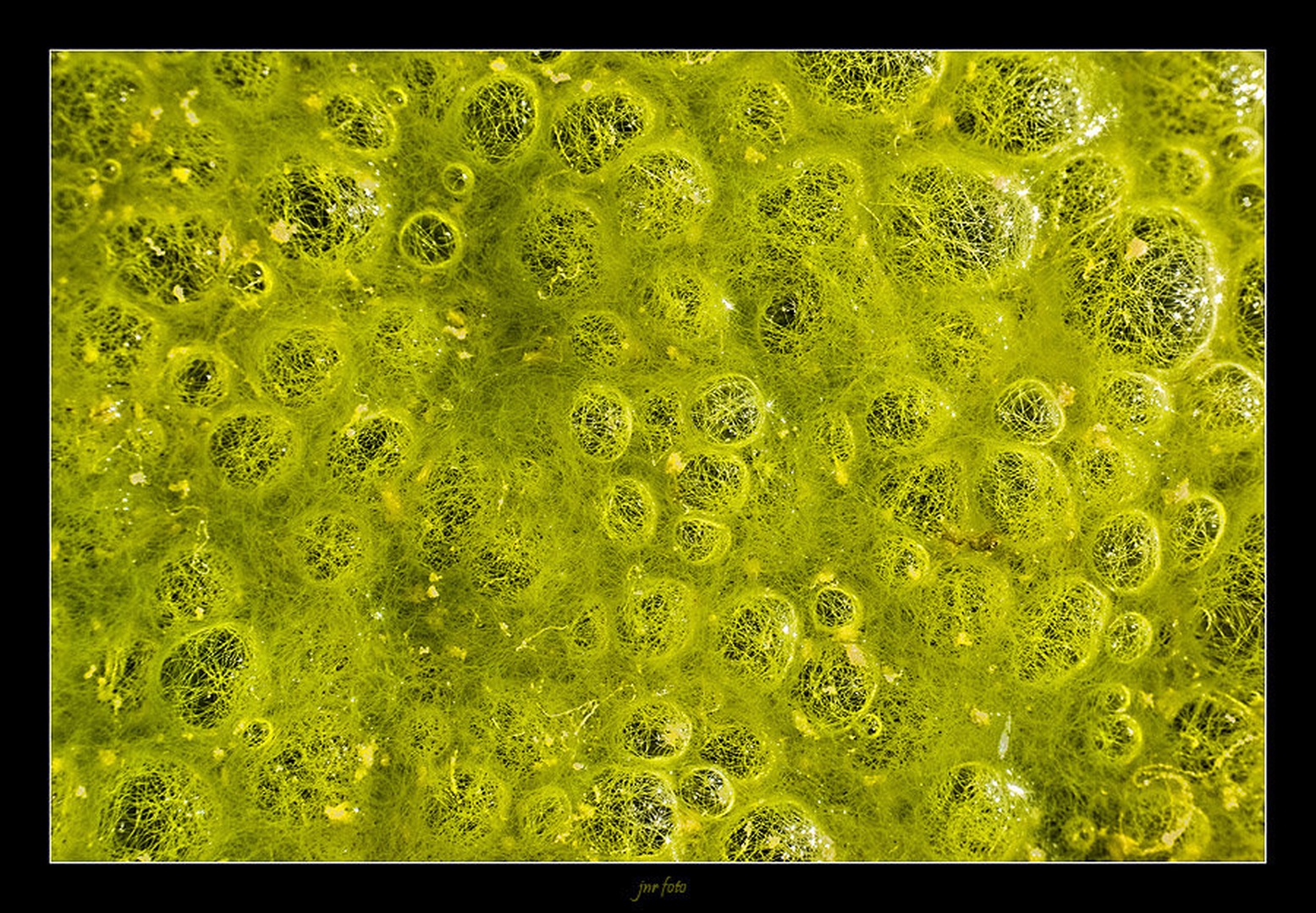 green bubbles by Ivan Pavlakovič ml.