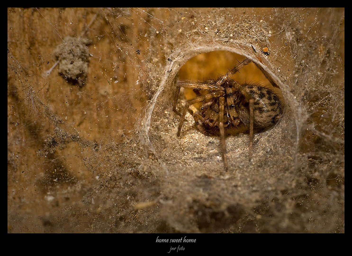 home sweet home by Ivan Pavlakovič ml.