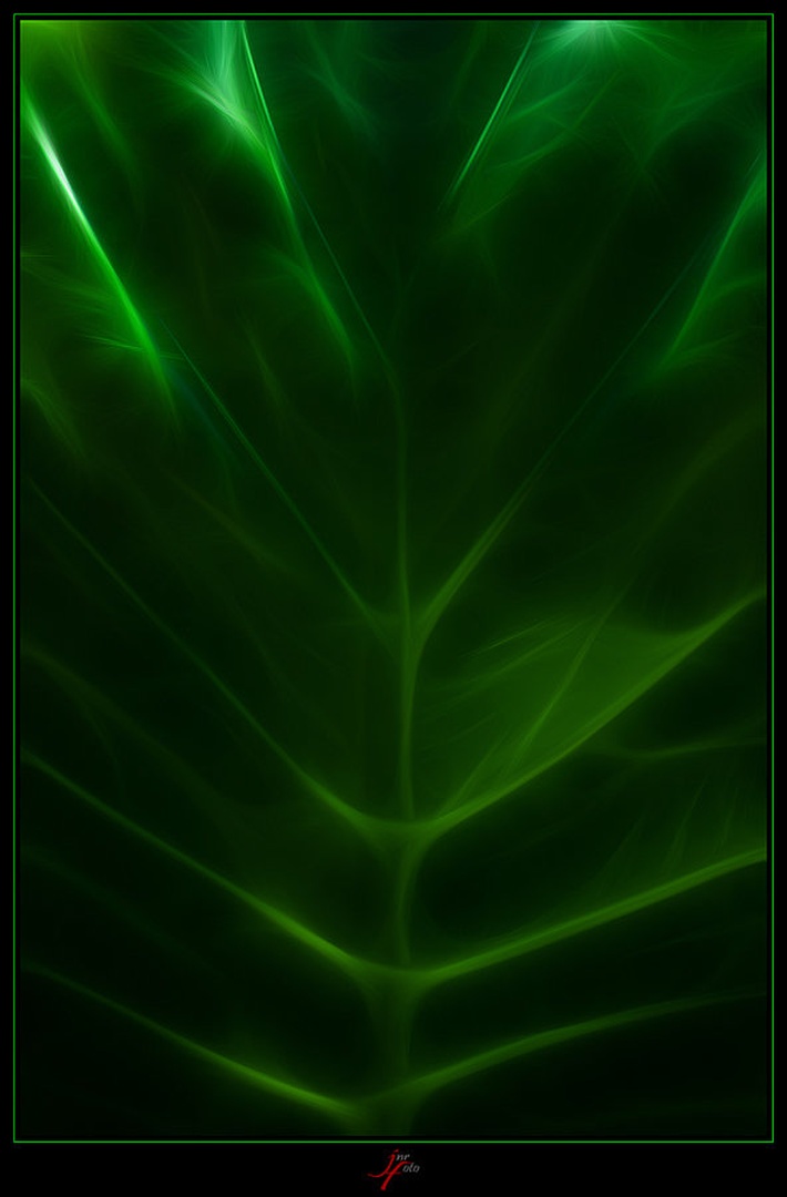 green lines by Ivan Pavlakovič ml.