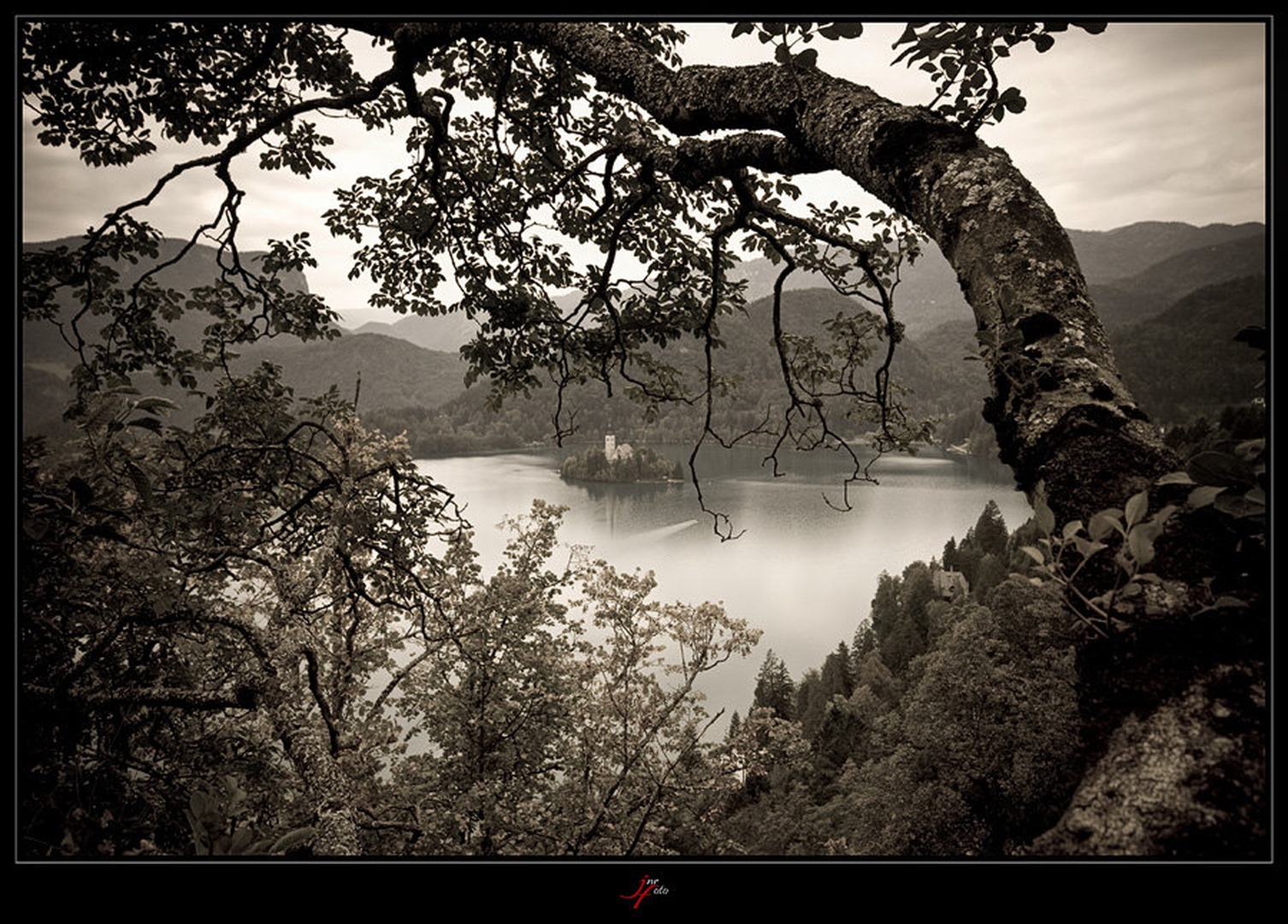 bled by Ivan Pavlakovič ml.