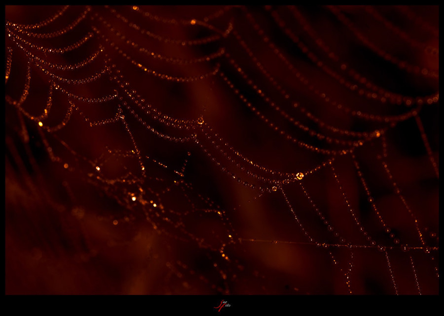net by Ivan Pavlakovič ml.