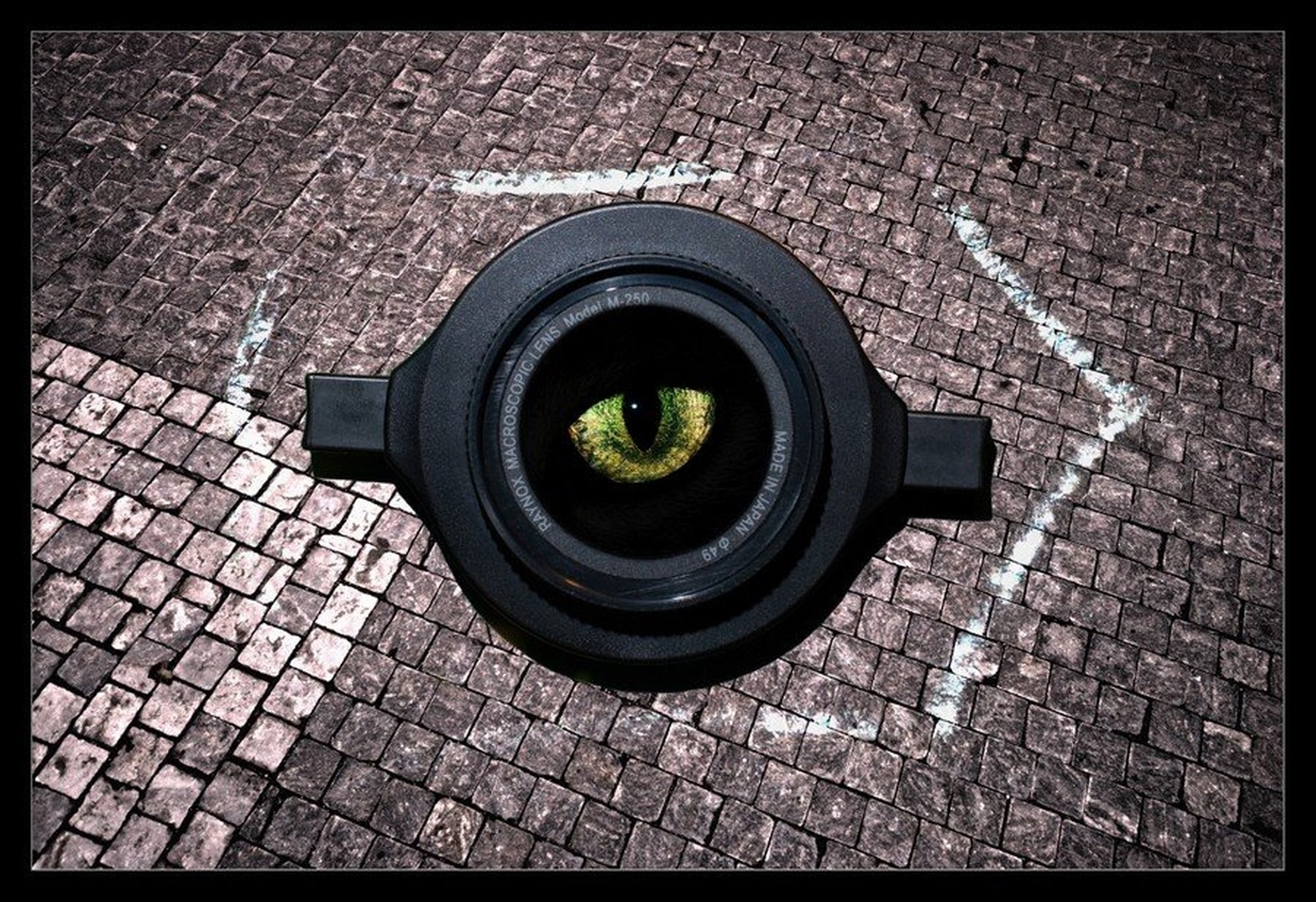 raynox eye by Ivan Pavlakovič ml.
