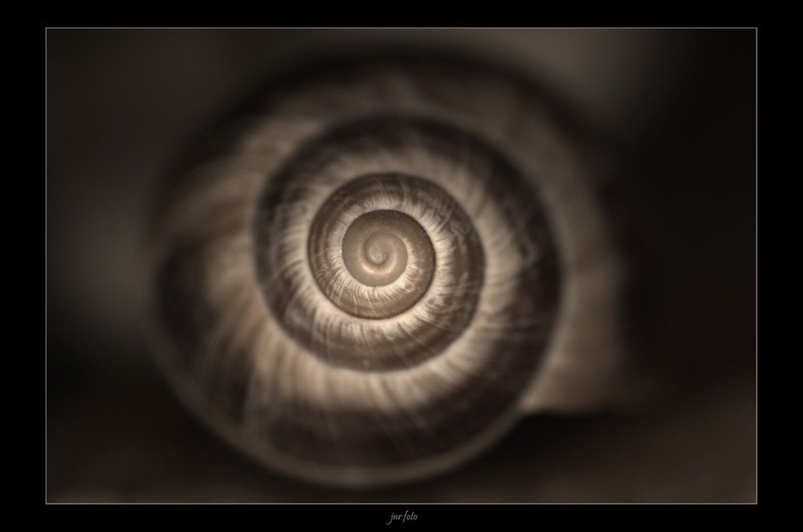 helix by Ivan Pavlakovič ml.