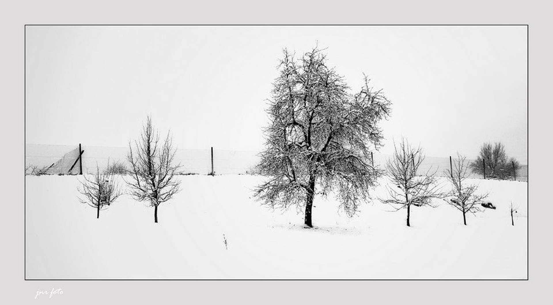 winter by Ivan Pavlakovič ml.