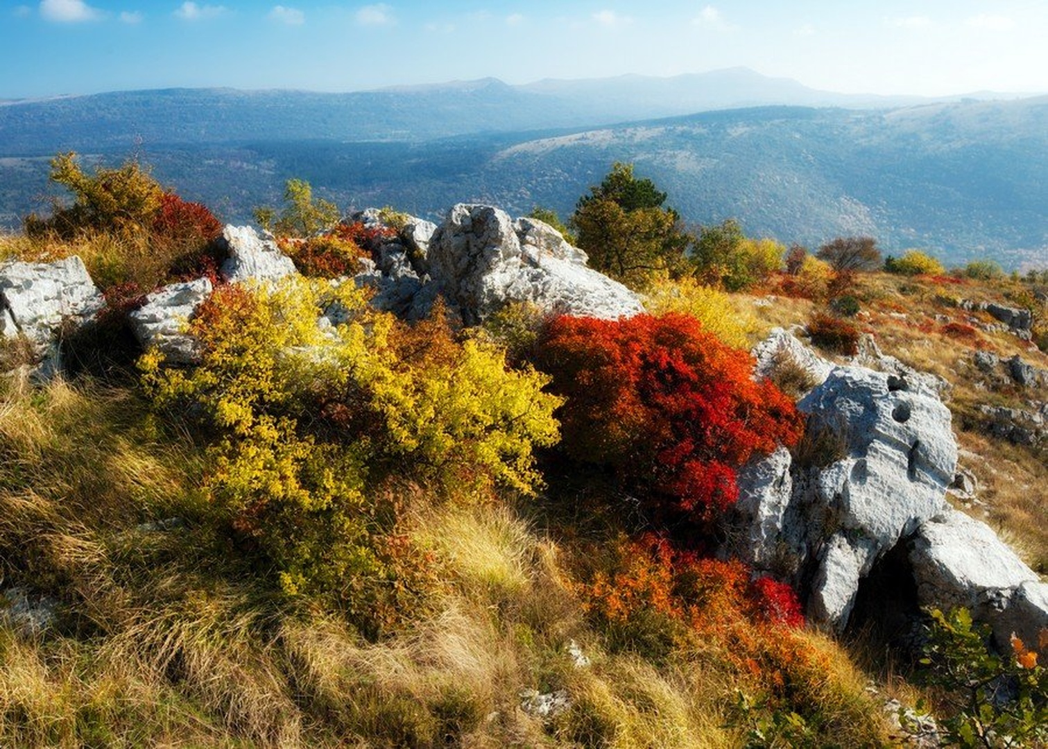 barve jeseni by Ivan Pavlakovič ml.