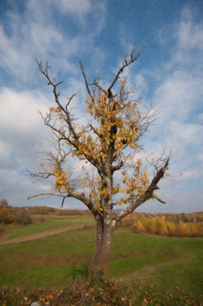 čas jeseni by Ivan Pavlakovič ml.
