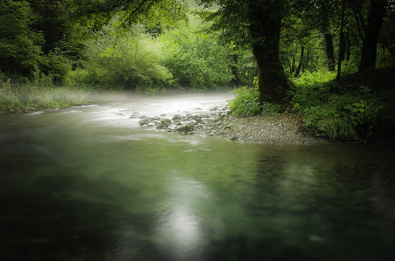 curak by Primoz