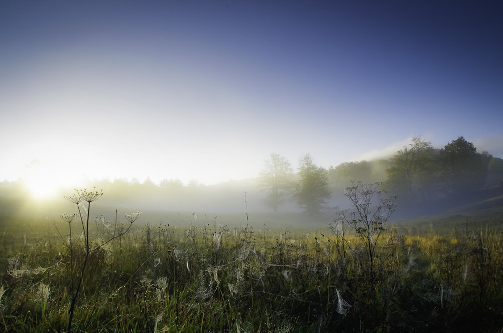 jutro1 by Primoz