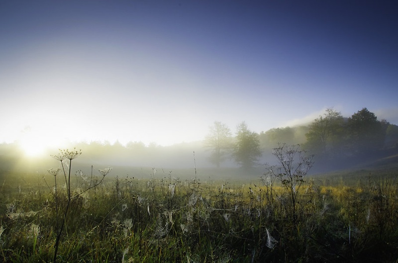 jutro1 by Primoz