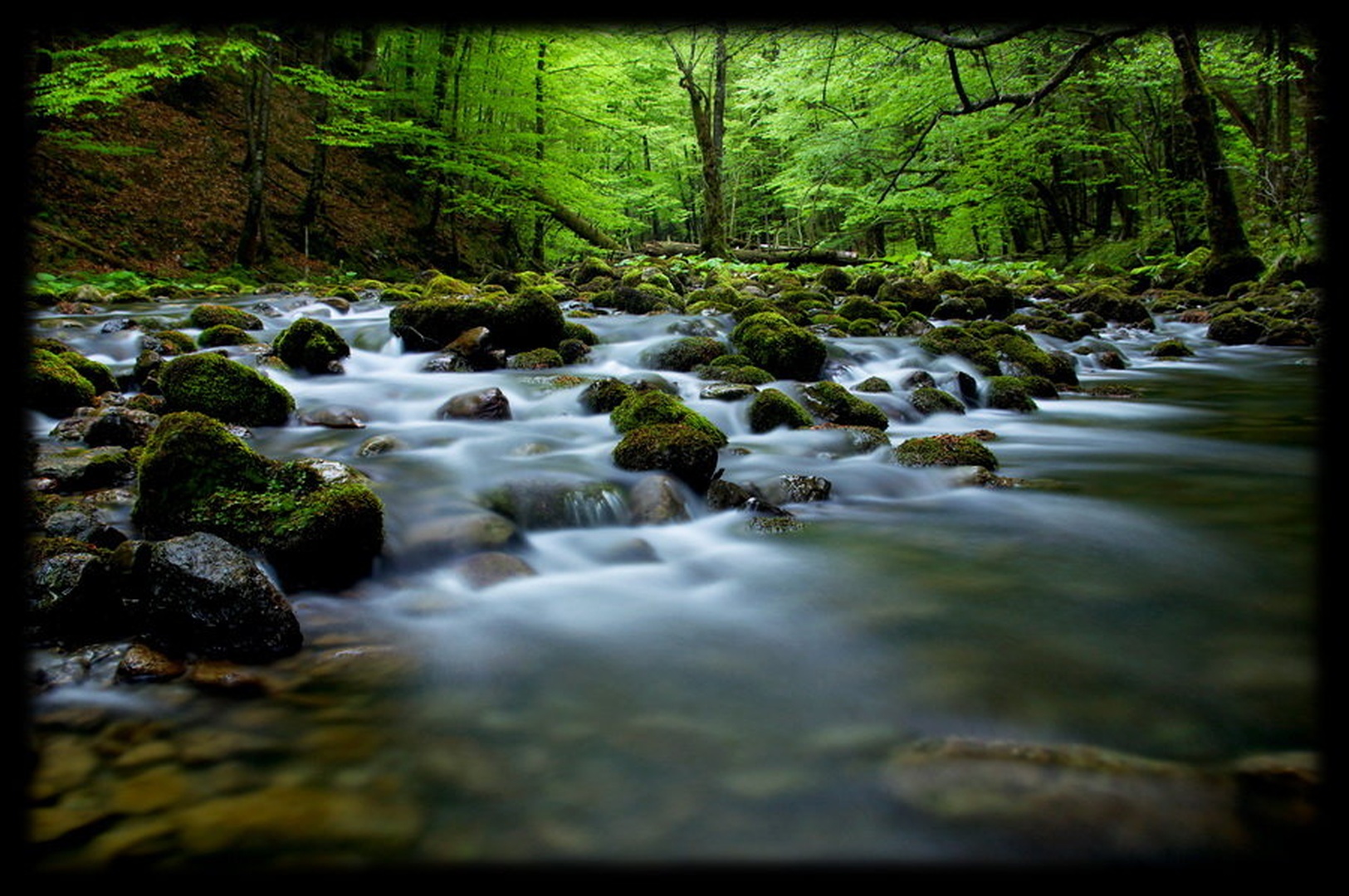 belica by Primoz