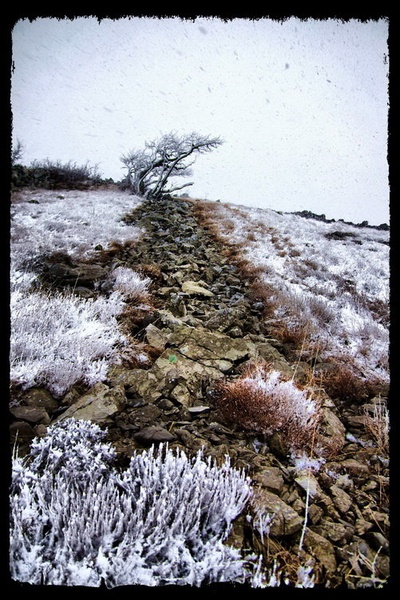 kamenjak by Primoz