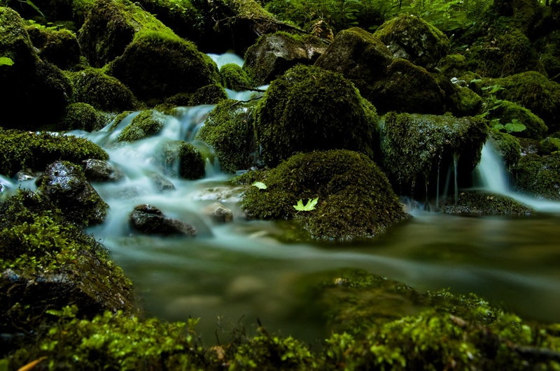 mokro by Primoz