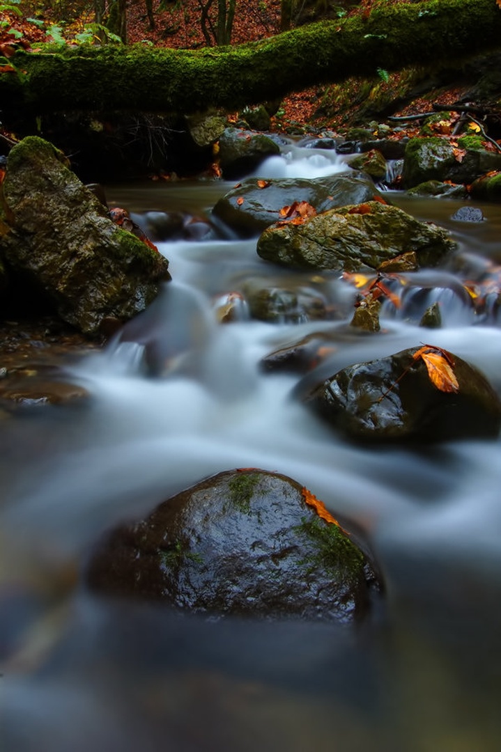 svila vrazeg prolaza by Primoz