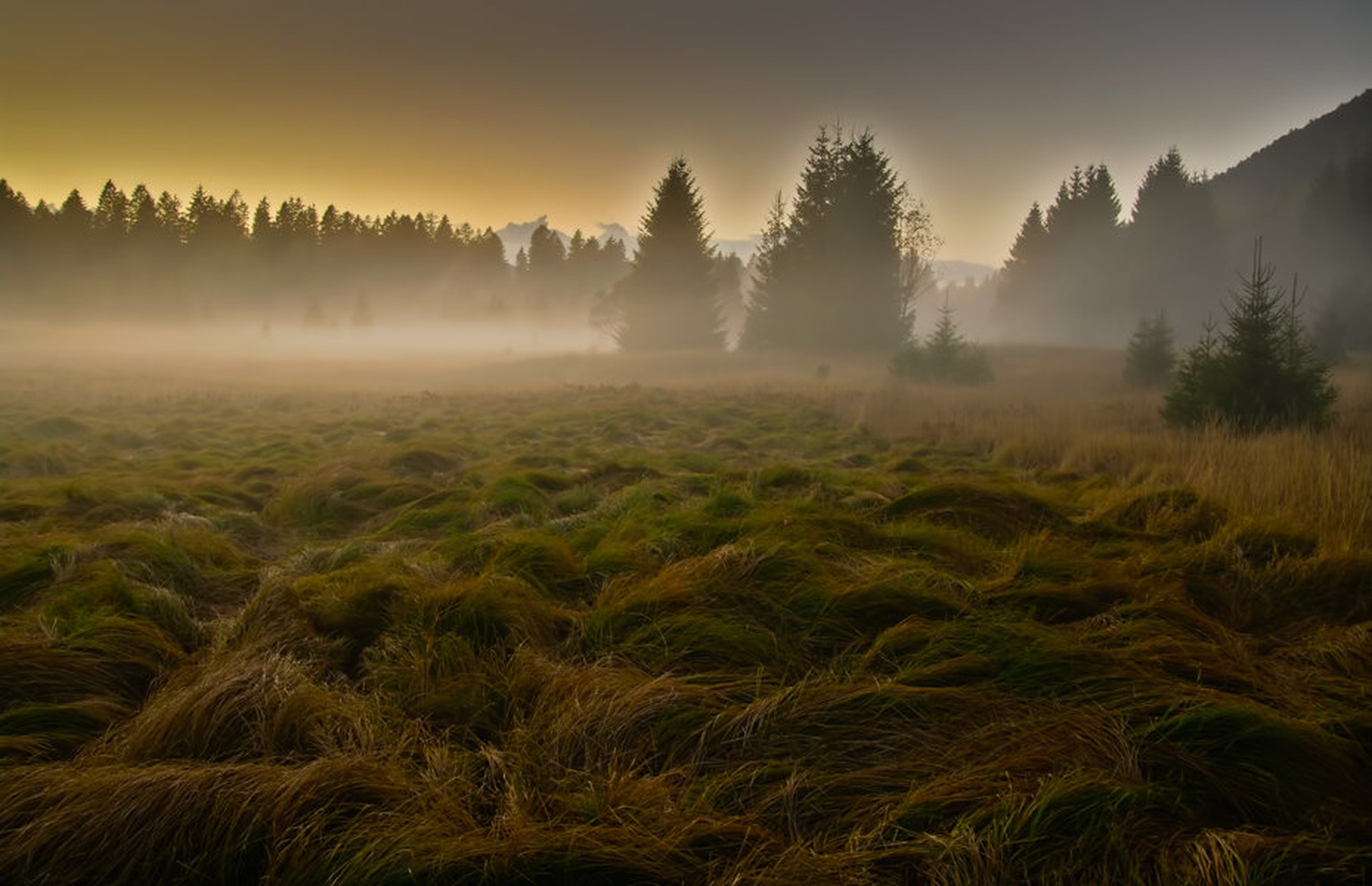 kraj dana by Primoz