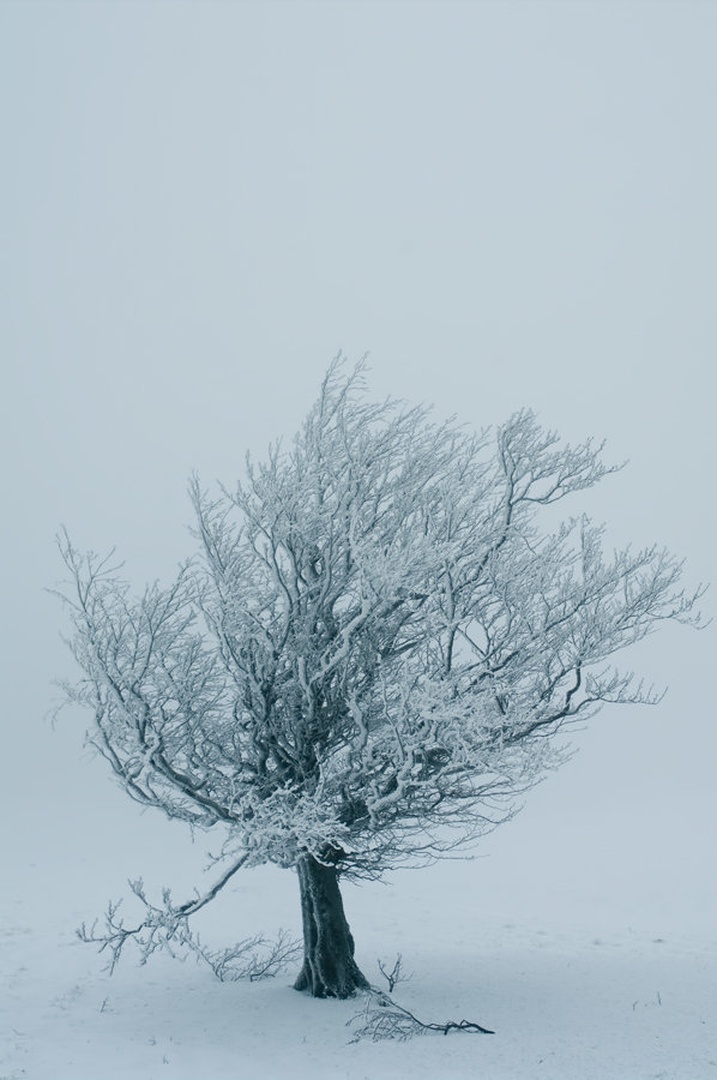 tisina by Primoz