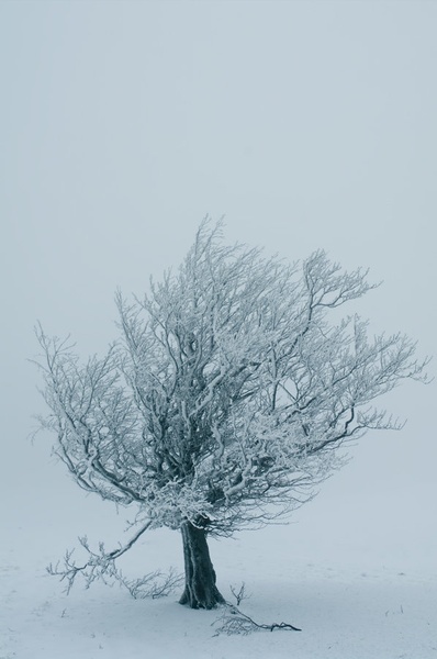tisina by Primoz
