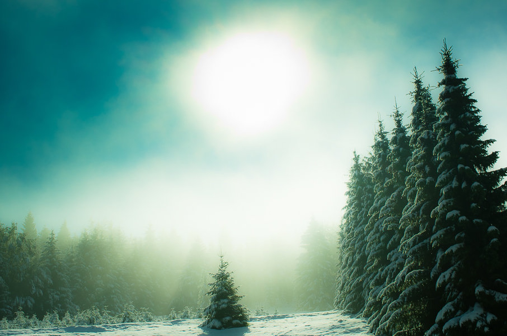 prvo jutro..., by Primoz