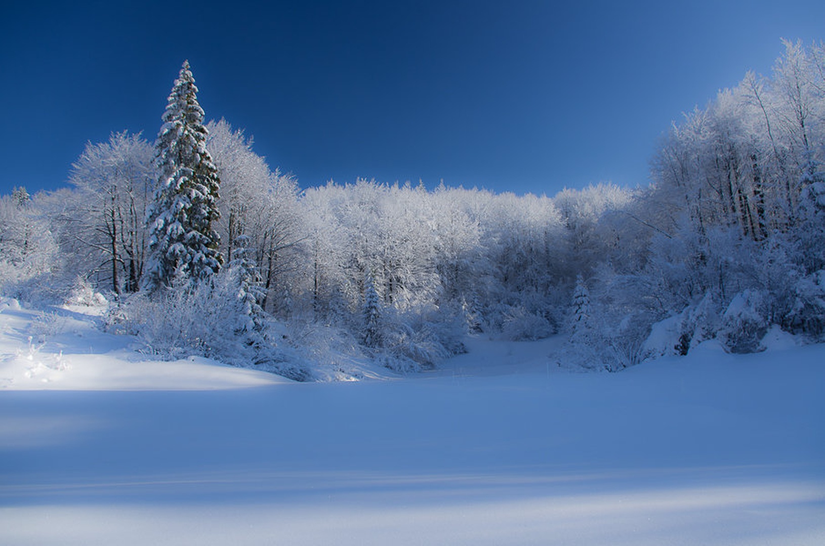 krasno jutro by Primoz
