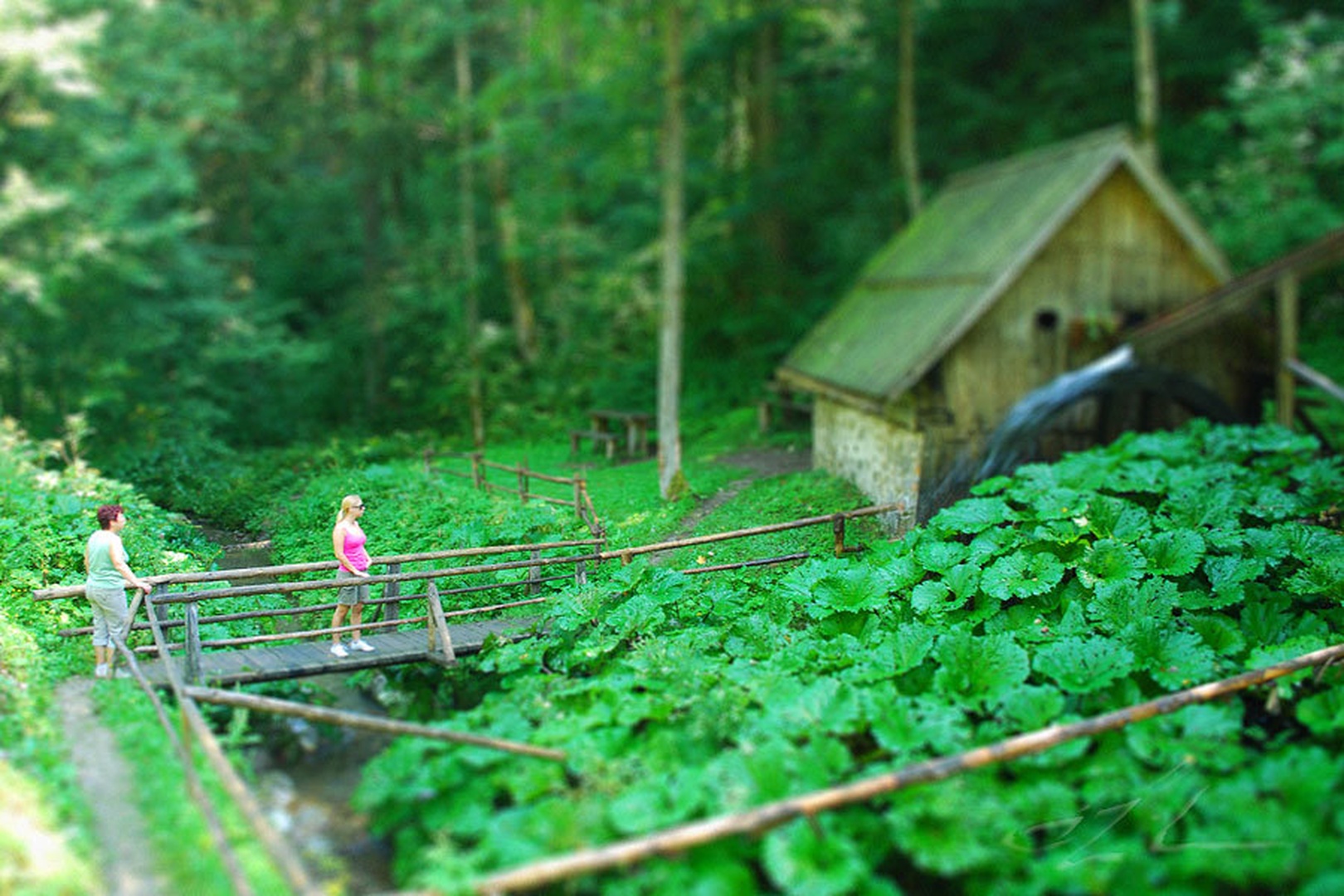 Mlinček by Robert Likar
