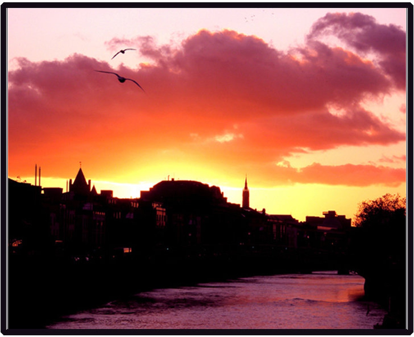 dublin by sara mlakar