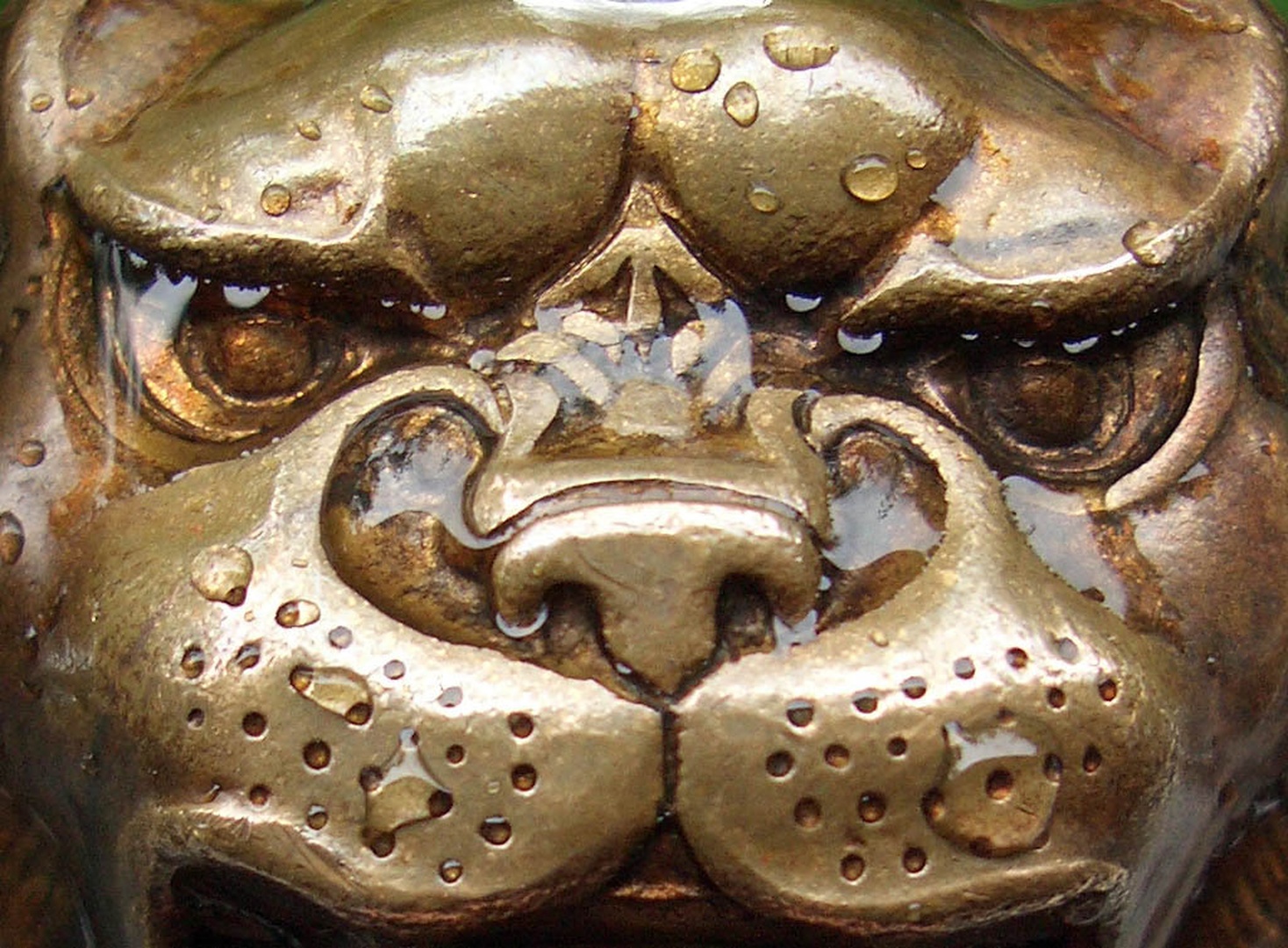 Jaguar by