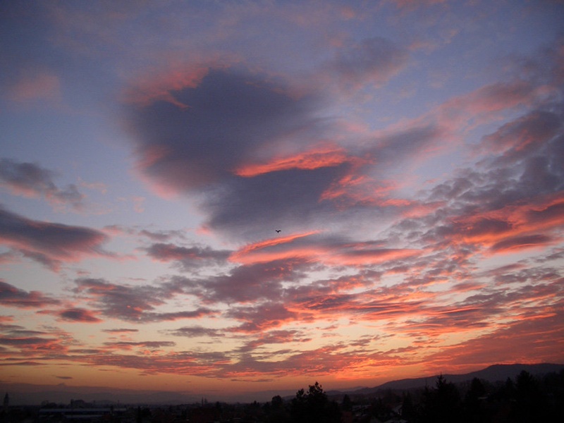 Fly to the sky by pib