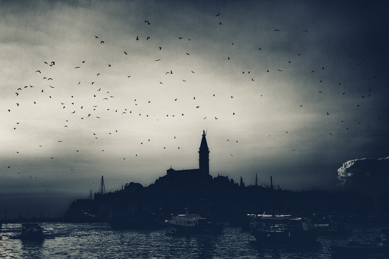 Bird Attack by Kristijan Keretić