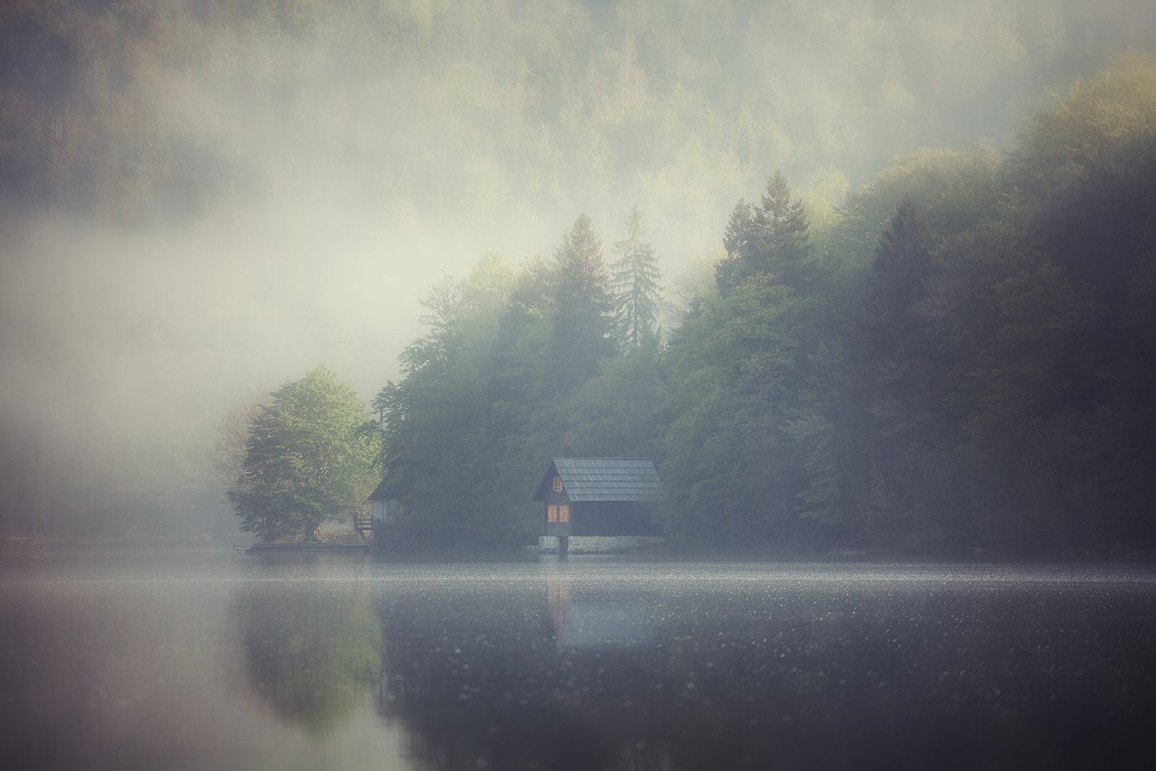 Čarobno jutro ob Bohinjskem jezeru by Kristijan Keretić