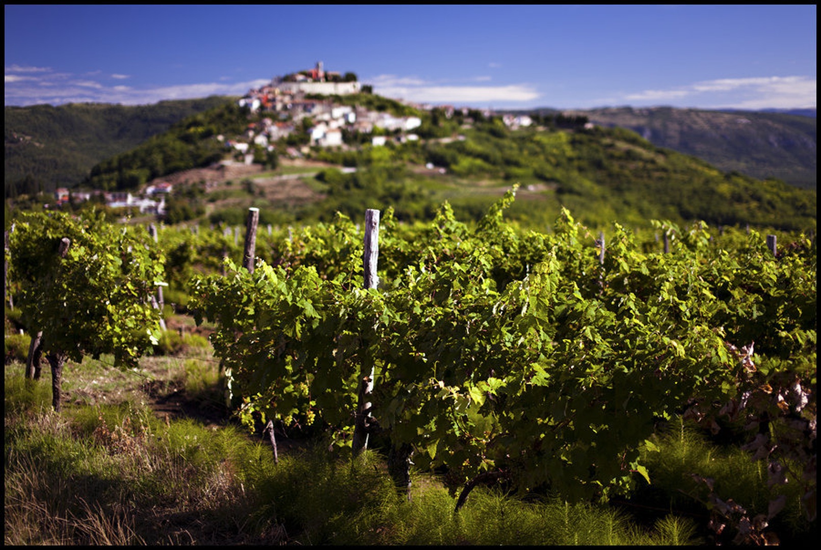 Motovun by Kristijan Keretić