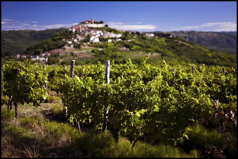 Motovun by Kristijan Keretić