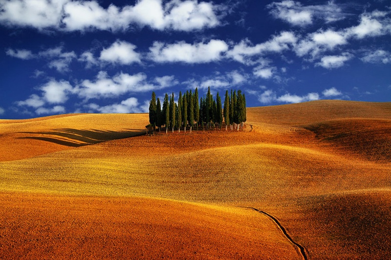 Poetry by Igor Gratzer