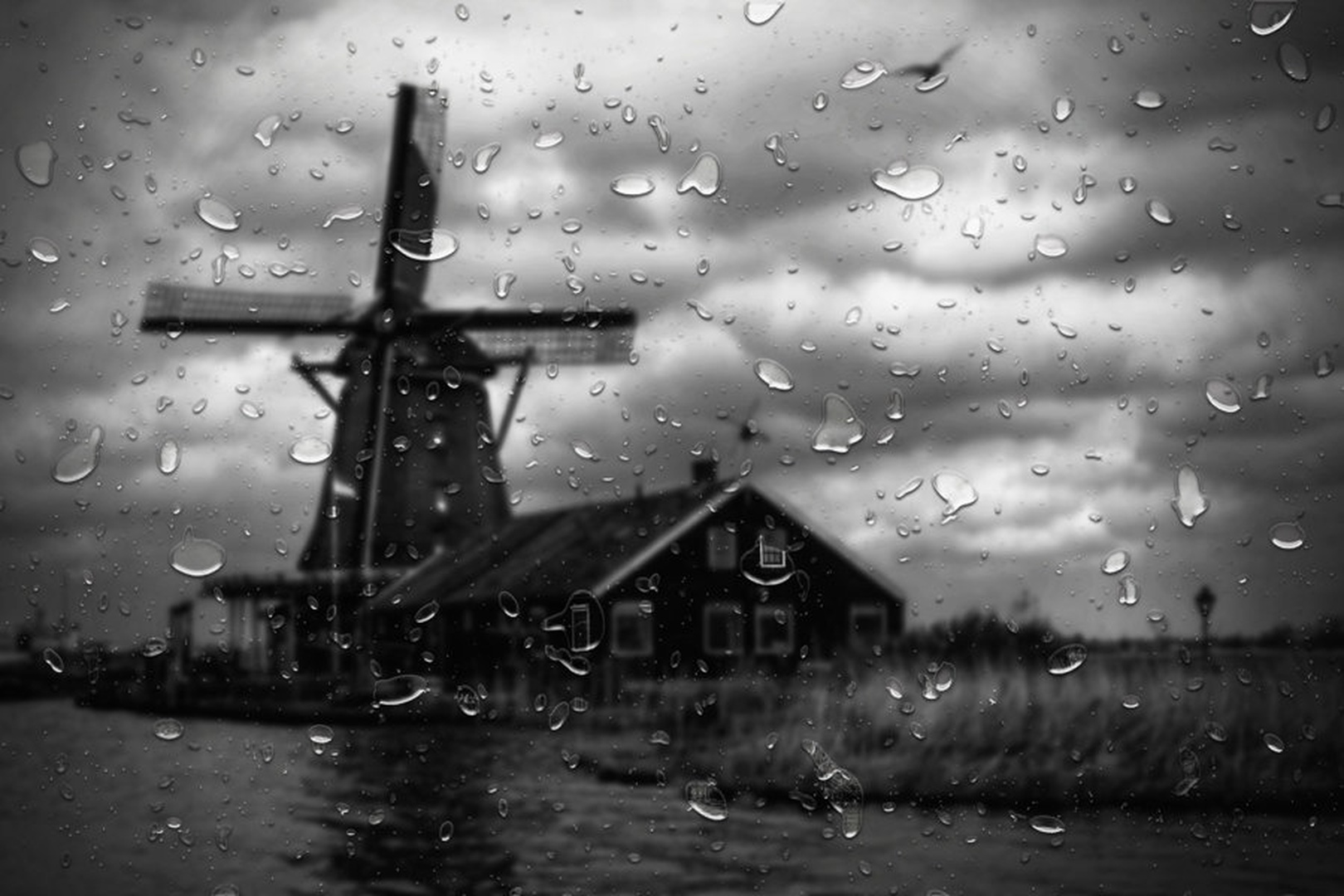 Rainy Day by Igor Gratzer