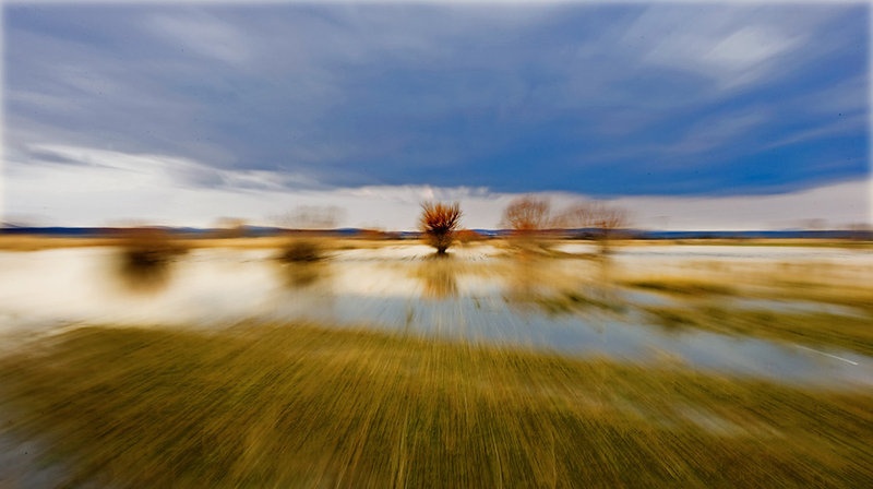 Speed by czy