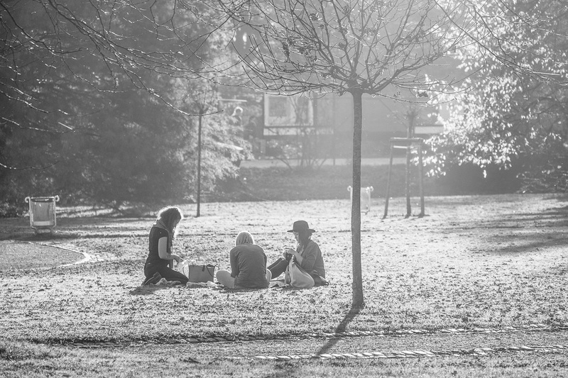 Piknik by gregase