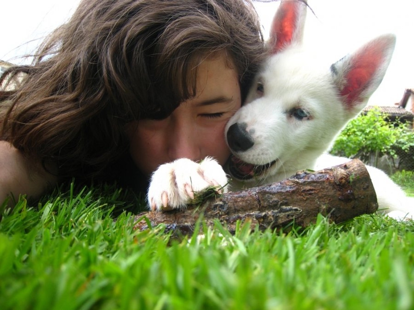 me&dog by