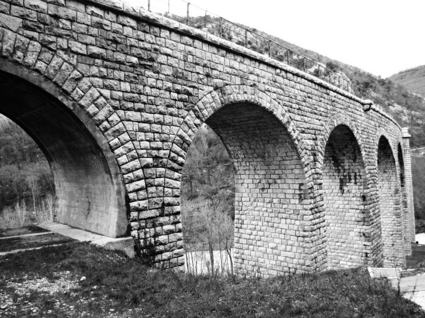 the bridge by